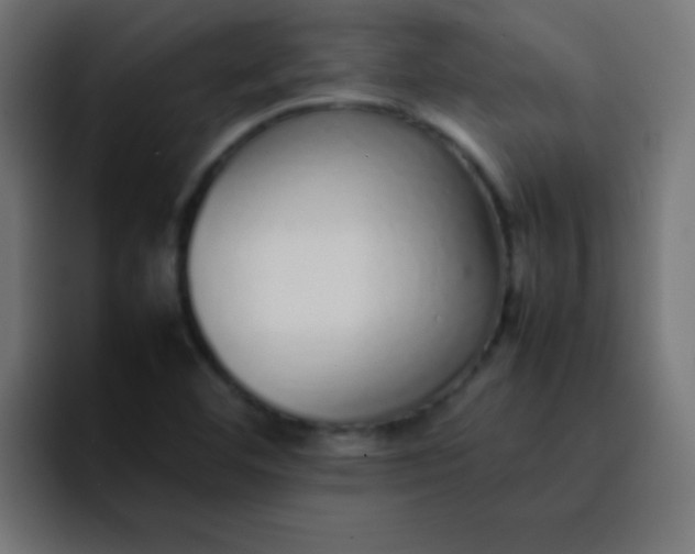 X0000092101460200710031203