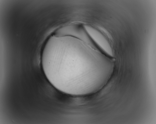 X0000092101461200710031203