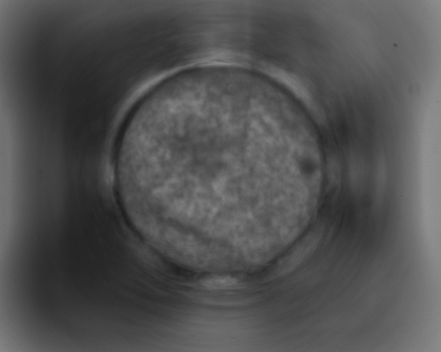 X0000092101462200710031203