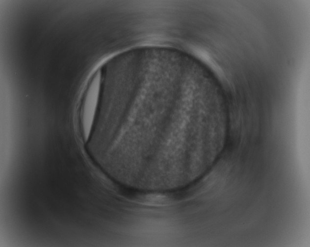 X0000092101463200710031203