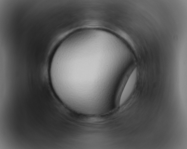 X0000092101464200710031203