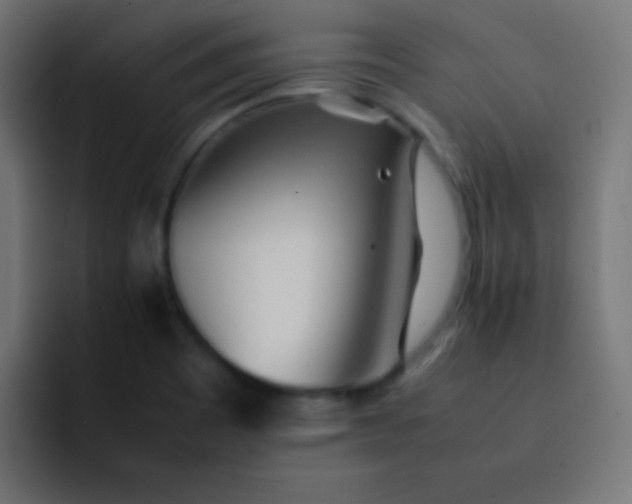 X0000092101465200710031203