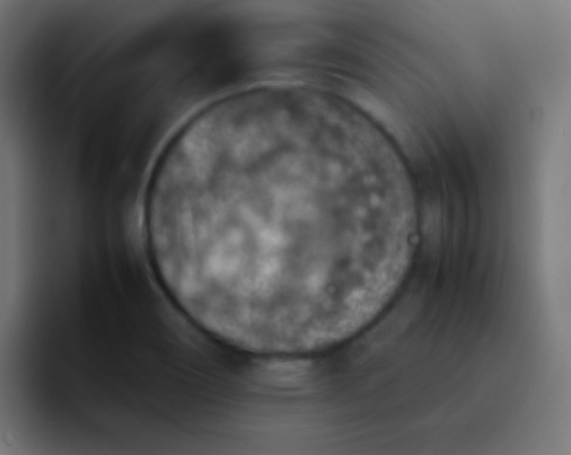 X0000092101466200710031203