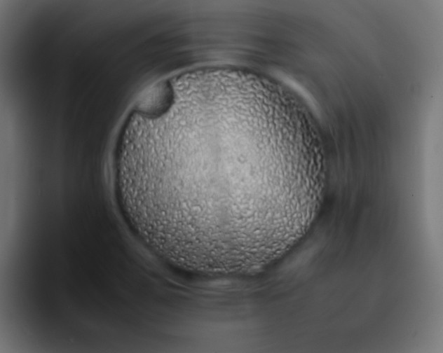 X0000092101467200710031203