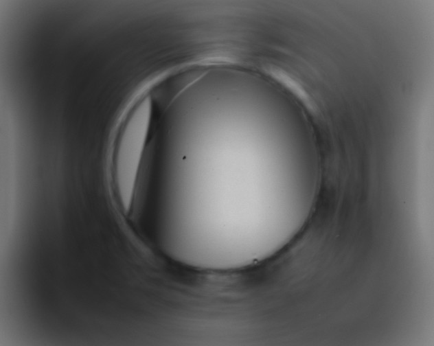 X0000092101469200710031203