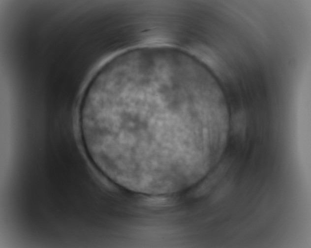 X0000092101470200710031203