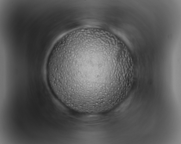 X0000092101471200710031203