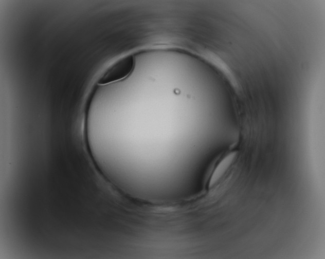 X0000092101472200710031203