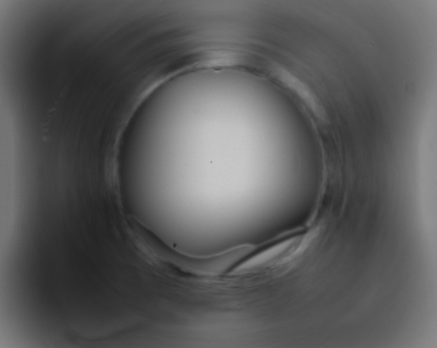 X0000092101473200710031203