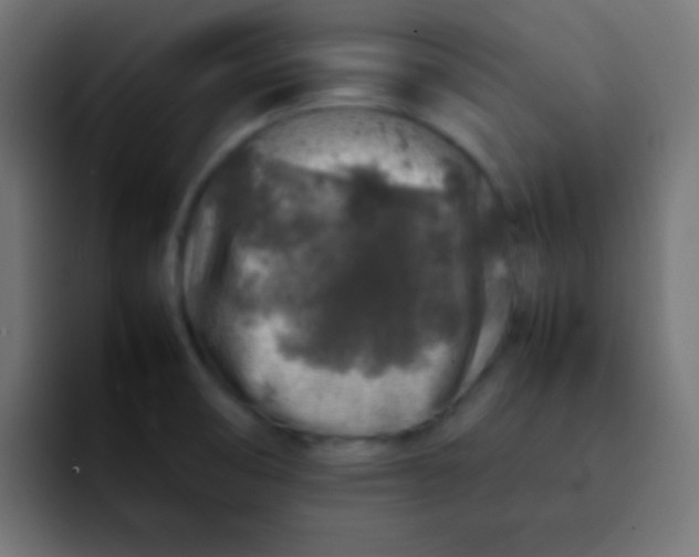 X0000092101474200710031203