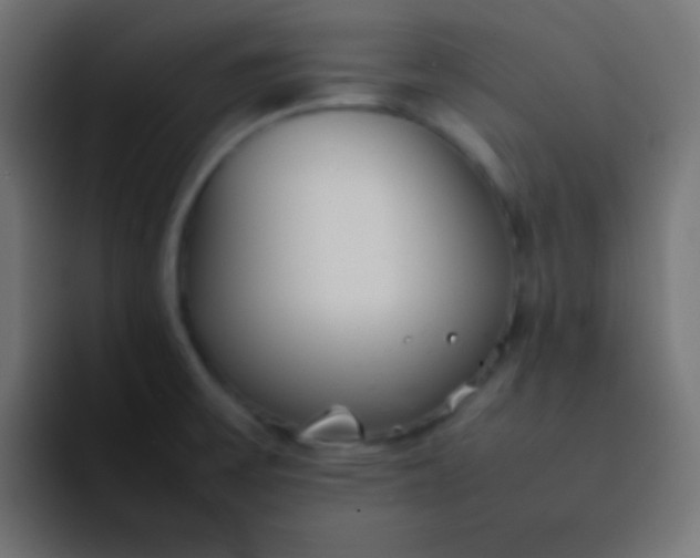 X0000092101475200710031203