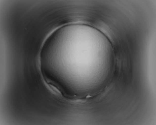 X0000092101476200710031203