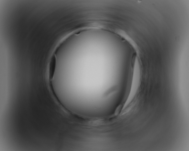 X0000092101477200710031203