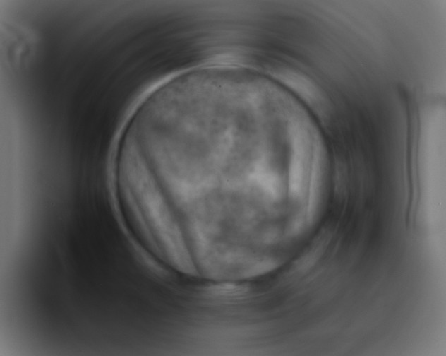 X0000092101478200710031203