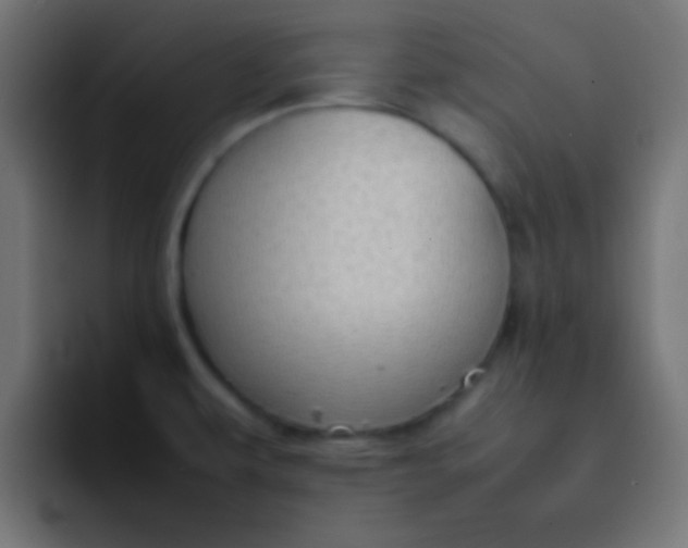 X0000092101479200710031203