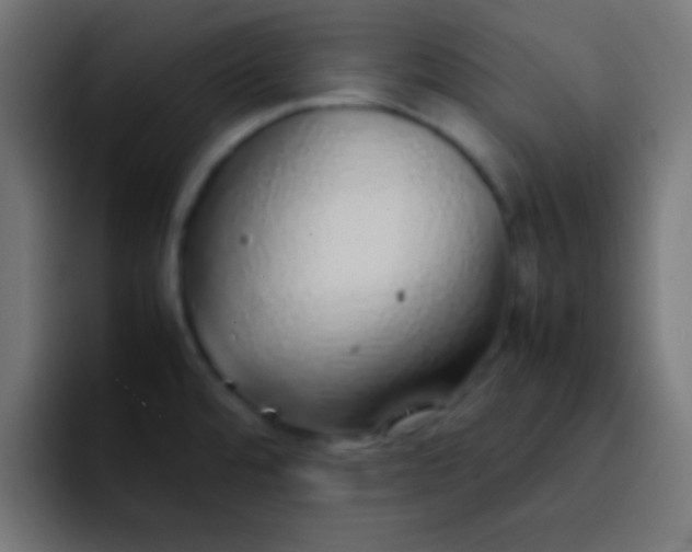 X0000092101480200710031203