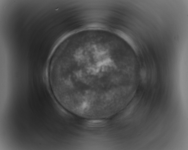 X0000092101482200710031203