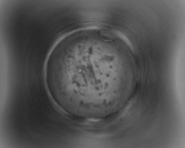 X0000092101483200710031203