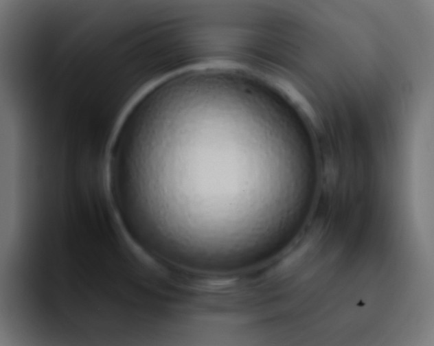 X0000092101484200710031203