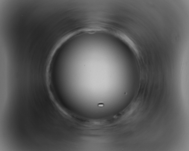 X0000092101485200710031203