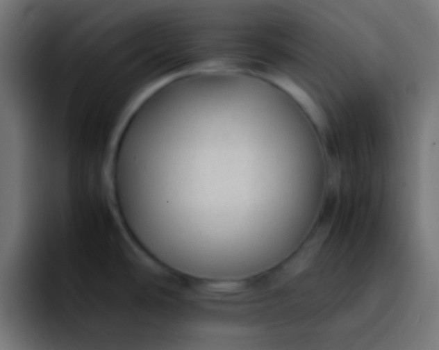 X0000092101486200710031203