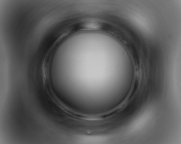 X0000092101487200710031203