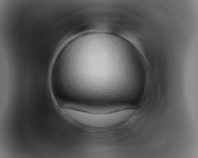 X0000092101488200710031203