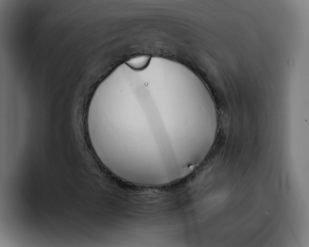 X0000092101489200710031203