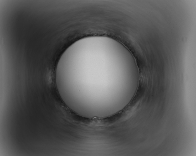 X0000092101490200710031203