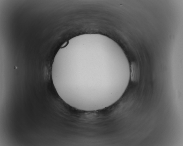 X0000092101491200710031203