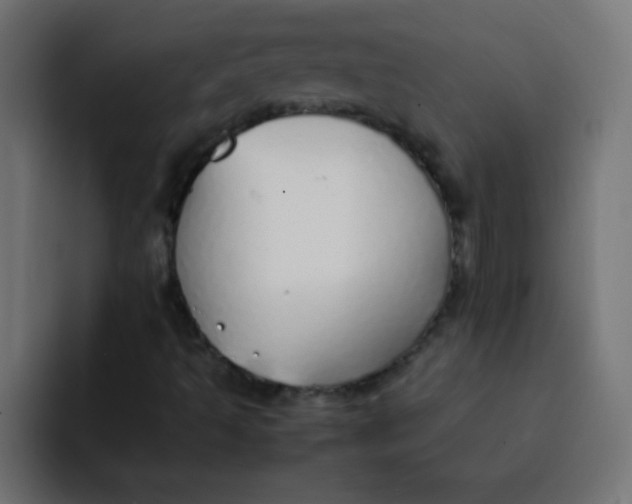 X0000092101493200710031203