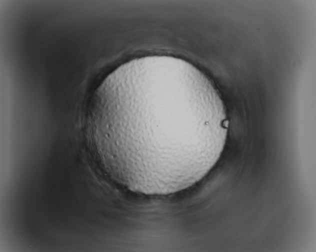 X0000092101494200710031203