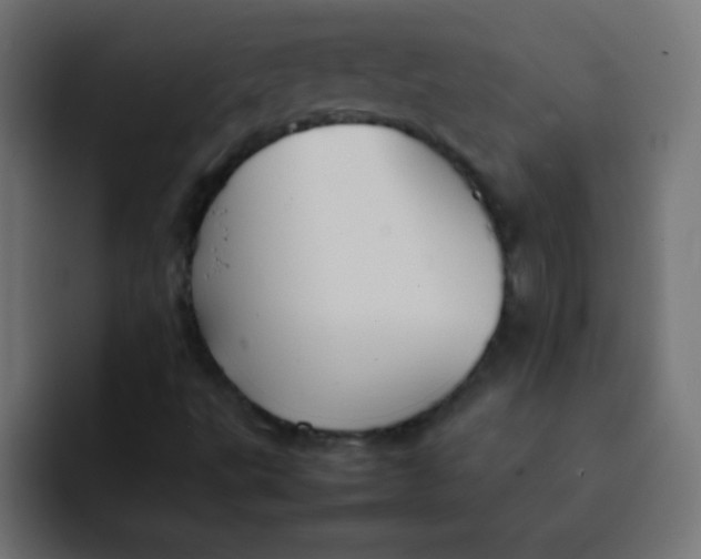 X0000092101495200710031203