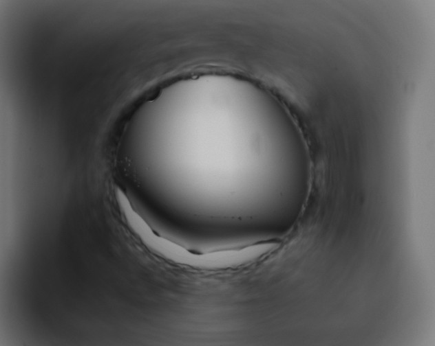 X0000092101496200710031203