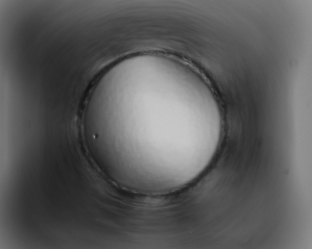 X0000092101497200710031203