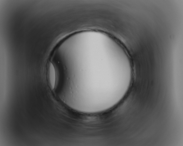 X0000092101501200710031203