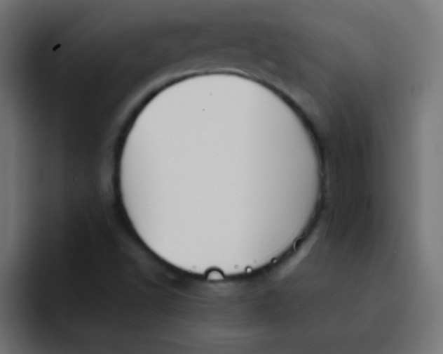 X0000092101502200710031203