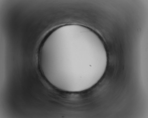 X0000092101503200710031203