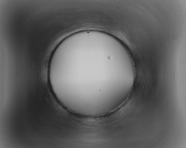 X0000092101504200710031203