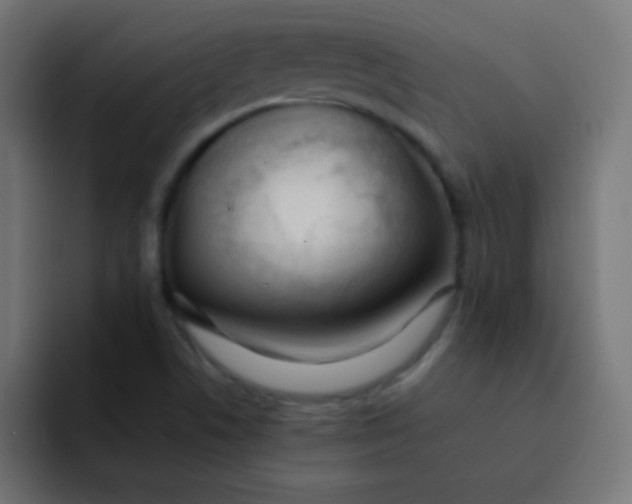 X0000092101506200710031203