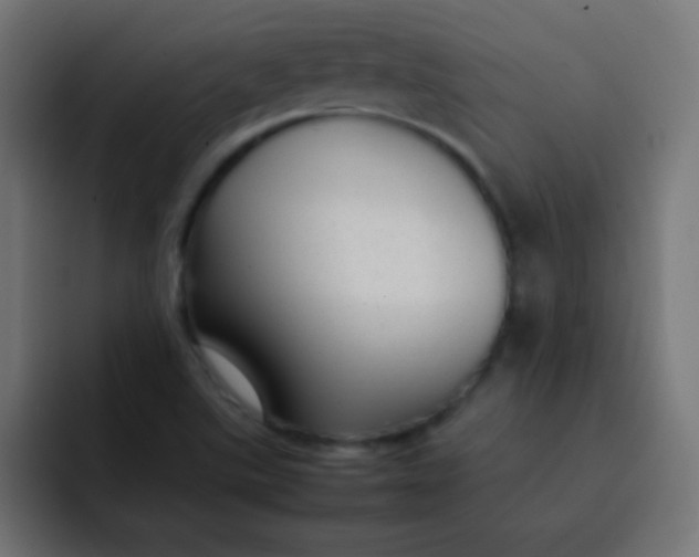 X0000092101507200710031203