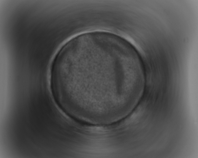 X0000092101508200710031203