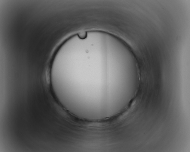 X0000092101510200710031203