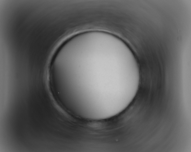 X0000092101511200710031203