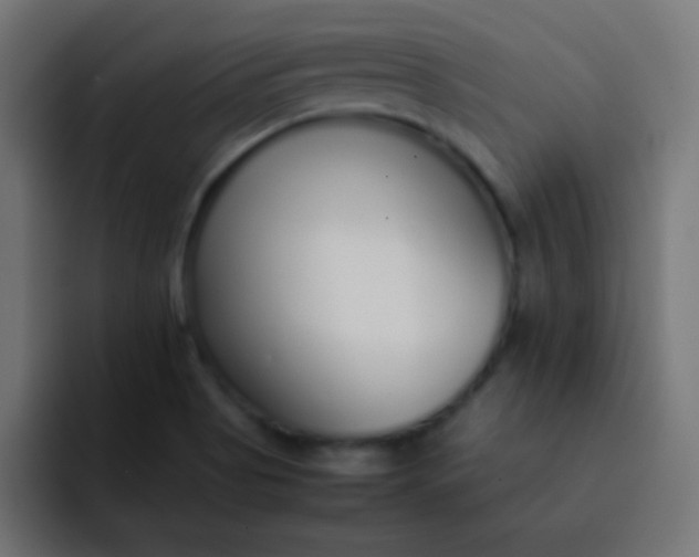 X0000092101513200710031203