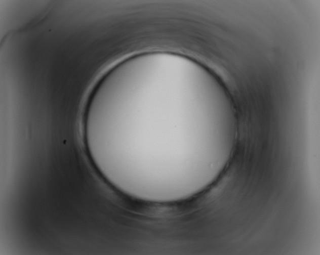 X0000092101517200710031203