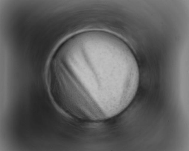 X0000092101519200710031203