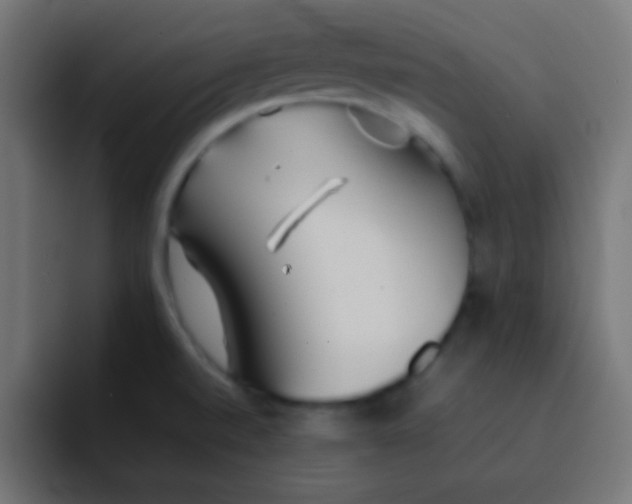 X0000092101520200710031203