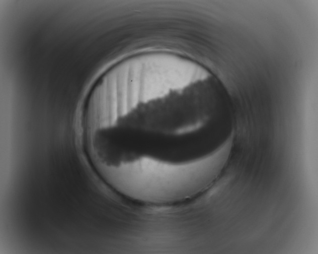 X0000092101522200710031203