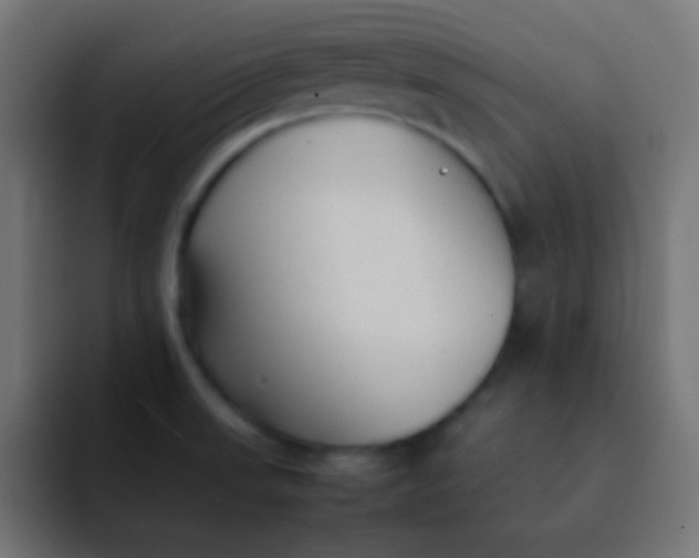 X0000092101523200710031203